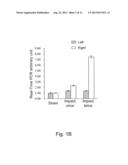 METHOD FOR DETECTING AND EXAMINING TRAUMATIC BRAIN INJURY IN VITRO diagram and image