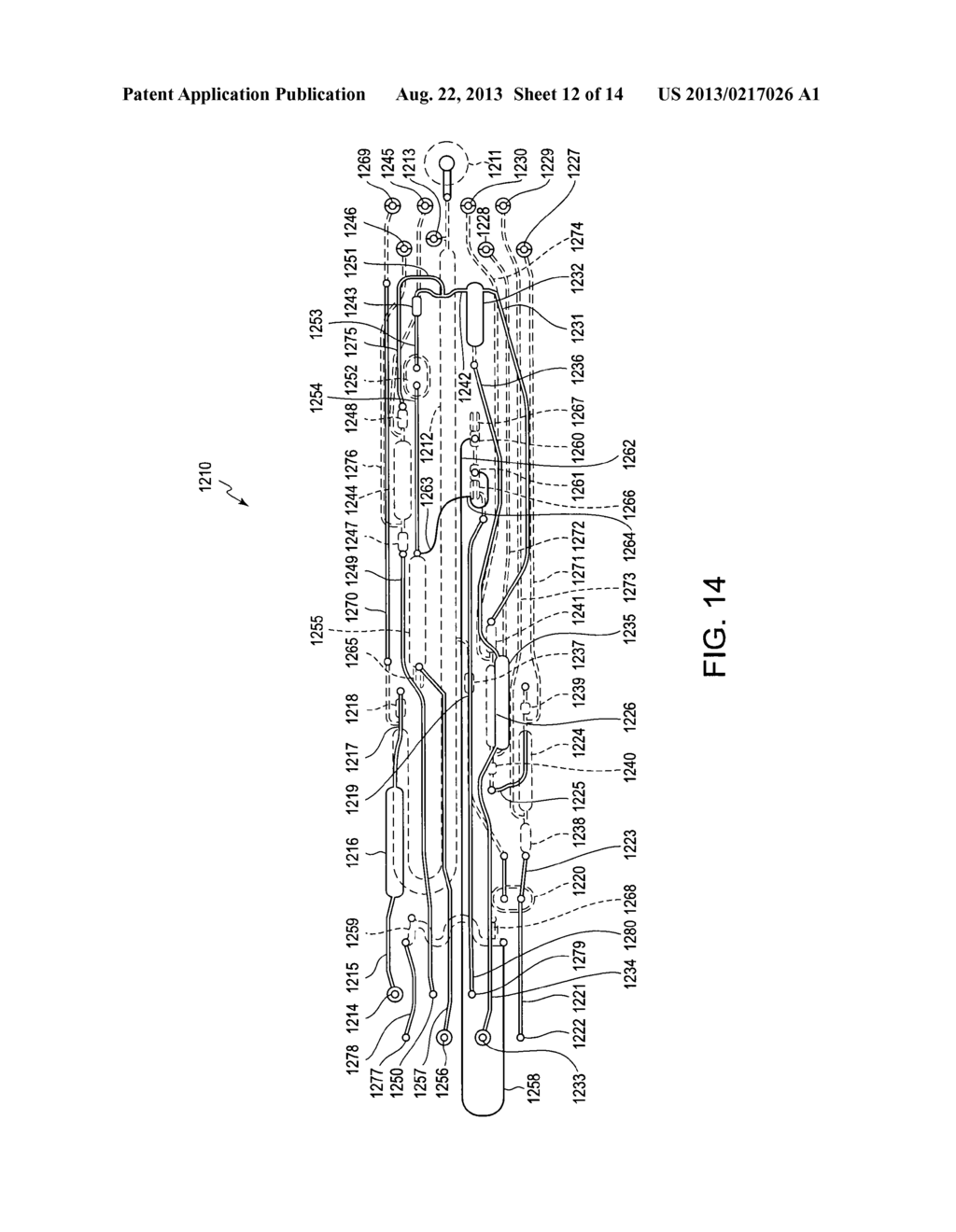 MICROFLUIDIC CARTRIDGE - diagram, schematic, and image 13