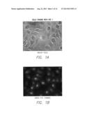 FLUORESCENT DYES diagram and image