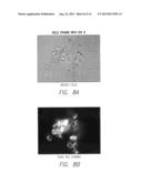 FLUORESCENT DYES diagram and image