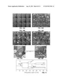 Apparatus for Systematic Single Cell Tracking of Distinctive Cellular     Events diagram and image