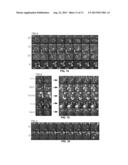 Apparatus for Systematic Single Cell Tracking of Distinctive Cellular     Events diagram and image