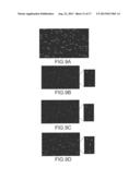 RAPID MICROBIAL DETECTION AND ANTIMICROBIAL SUSCEPTIBILITY TESTING diagram and image