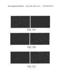 RAPID MICROBIAL DETECTION AND ANTIMICROBIAL SUSCEPTIBILITY TESTING diagram and image