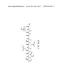 Dimeric Alpha Interferon PEGylated Site-Specifically Shows Enhanced and     Prolonged Efficacy in Vivo diagram and image