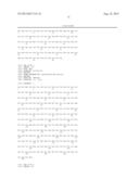 AUTO-DEVELOPING AND REGULARLY-WEIGHTED PROTEIN MOLECULAR WEIGHT MARKER KIT     AND METHOD FOR PREPARING THE SAME diagram and image