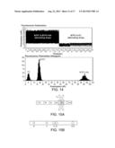 MICROFLUIDIC DEVICES AND METHODS OF USE IN THE FORMATION AND CONTROL OF     NANOREACTORS diagram and image