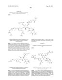 ANTIBACTERIAL AMINOGLYCOSIDE ANALOGS diagram and image