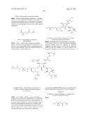 ANTIBACTERIAL AMINOGLYCOSIDE ANALOGS diagram and image