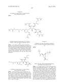 ANTIBACTERIAL AMINOGLYCOSIDE ANALOGS diagram and image