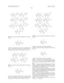 ANTIBACTERIAL AMINOGLYCOSIDE ANALOGS diagram and image