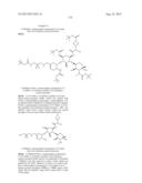 ANTIBACTERIAL AMINOGLYCOSIDE ANALOGS diagram and image