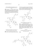 ANTIBACTERIAL AMINOGLYCOSIDE ANALOGS diagram and image