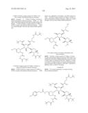 ANTIBACTERIAL AMINOGLYCOSIDE ANALOGS diagram and image