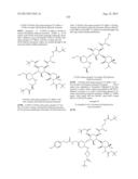 ANTIBACTERIAL AMINOGLYCOSIDE ANALOGS diagram and image