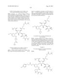 ANTIBACTERIAL AMINOGLYCOSIDE ANALOGS diagram and image