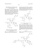 ANTIBACTERIAL AMINOGLYCOSIDE ANALOGS diagram and image