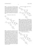 ANTIBACTERIAL AMINOGLYCOSIDE ANALOGS diagram and image