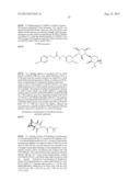 ANTIBACTERIAL AMINOGLYCOSIDE ANALOGS diagram and image