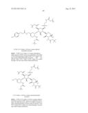 ANTIBACTERIAL AMINOGLYCOSIDE ANALOGS diagram and image