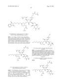 ANTIBACTERIAL AMINOGLYCOSIDE ANALOGS diagram and image