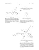 ANTIBACTERIAL AMINOGLYCOSIDE ANALOGS diagram and image