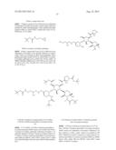 ANTIBACTERIAL AMINOGLYCOSIDE ANALOGS diagram and image