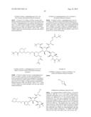 ANTIBACTERIAL AMINOGLYCOSIDE ANALOGS diagram and image