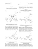 ANTIBACTERIAL AMINOGLYCOSIDE ANALOGS diagram and image