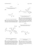 ANTIBACTERIAL AMINOGLYCOSIDE ANALOGS diagram and image