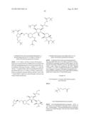 ANTIBACTERIAL AMINOGLYCOSIDE ANALOGS diagram and image