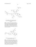 ANTIBACTERIAL AMINOGLYCOSIDE ANALOGS diagram and image