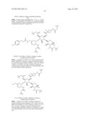 ANTIBACTERIAL AMINOGLYCOSIDE ANALOGS diagram and image