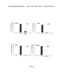 Surfactant Lipids, Compositions Thereof, and Uses Thereof diagram and image