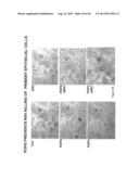 Surfactant Lipids, Compositions Thereof, and Uses Thereof diagram and image