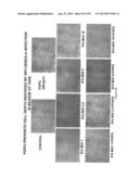 Surfactant Lipids, Compositions Thereof, and Uses Thereof diagram and image