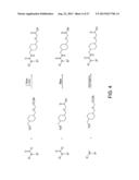 MODULATORS OF THE PROSTACYCLIN (PGI2) RECEPTOR USEFUL FOR THE TREATMENT OF     DISORDERS RELATED THERETO diagram and image