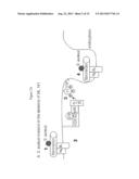 EFFICACY IN TREATING BACTERIAL INFECTIONS diagram and image