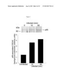 EFFICACY IN TREATING BACTERIAL INFECTIONS diagram and image