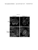 EFFICACY IN TREATING BACTERIAL INFECTIONS diagram and image