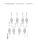 RNA INTERFERENCE MEDIATED INHIBITION OF GENE EXPRESSION USING SHORT     INTERFERING NUCLEIC ACIDS (siNA) diagram and image