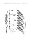 RNA INTERFERENCE MEDIATED INHIBITION OF GENE EXPRESSION USING SHORT     INTERFERING NUCLEIC ACIDS (siNA) diagram and image