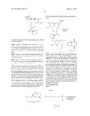 RNA INTERFERENCE MEDIATED INHIBITION OF GENE EXPRESSION USING SHORT     INTERFERING NUCLEIC ACIDS (siNA) diagram and image