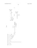 RNA INTERFERENCE MEDIATED INHIBITION OF GENE EXPRESSION USING SHORT     INTERFERING NUCLEIC ACIDS (siNA) diagram and image