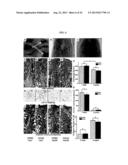 Compositions Comprising Bioadhesives And Methods Of Making The Same diagram and image