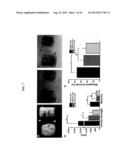 Compositions Comprising Bioadhesives And Methods Of Making The Same diagram and image