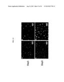 Compositions Comprising Bioadhesives And Methods Of Making The Same diagram and image