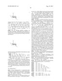 CONJUGATES COMPRISING HYDROXYALKYL STARCH AND A CYTOTOXIC AGENT AND     PROCESS FOR THEIR PREPARATION diagram and image