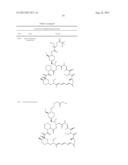 CONJUGATES COMPRISING HYDROXYALKYL STARCH AND A CYTOTOXIC AGENT AND     PROCESS FOR THEIR PREPARATION diagram and image