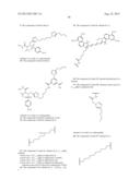 Compounds With Matrix-Metalloproteinase Inhibitory Activity and Imaging     Agents Thereof diagram and image